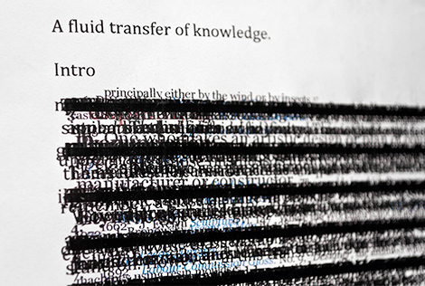 Compressed: Thesis 1st Draft